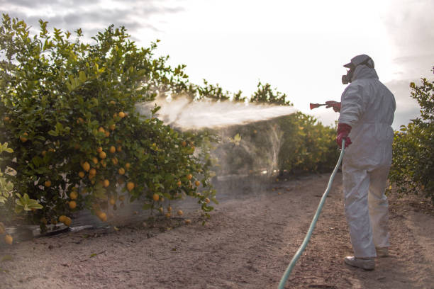 Best Cockroach Control Services  in Toledo, OH
