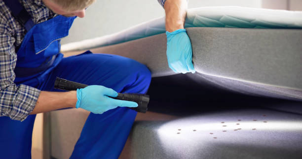 Best Bed Bug Extermination  in Toledo, OH