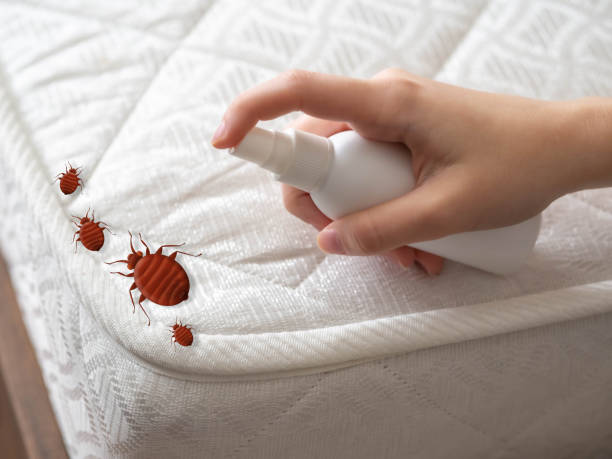 Best Bed Bug Extermination  in Toledo, OH