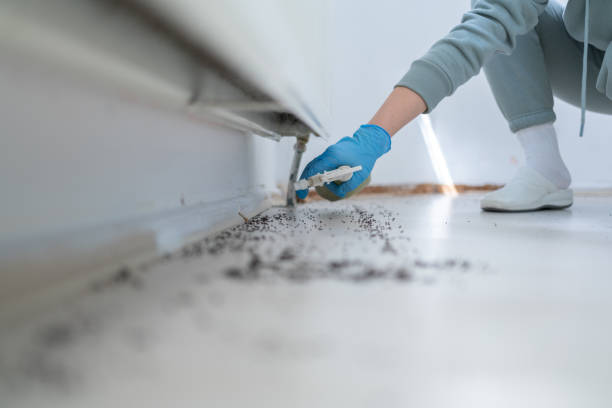 Best Termite Control Services  in Toledo, OH