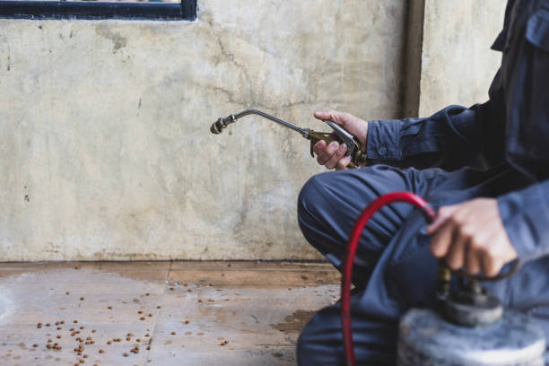 Best Affordable Pest Control Services  in Toledo, OH