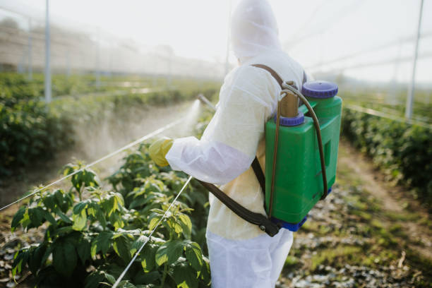 Wildlife Control Services in Toledo, OH